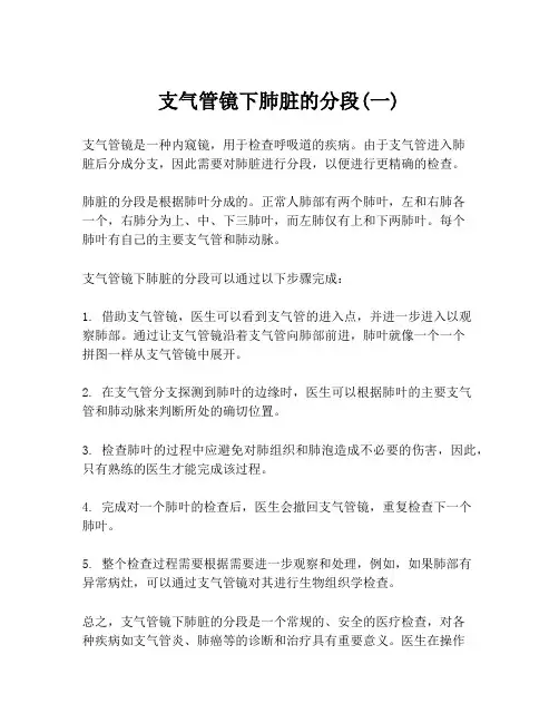 支气管镜下肺脏的分段(一)