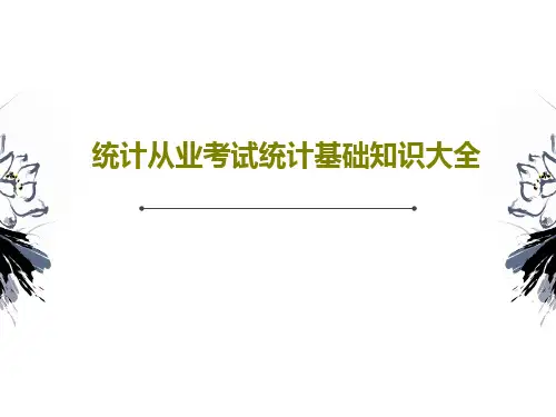 统计从业考试统计基础知识大全共101页