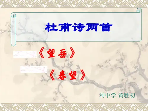 杜甫诗《望岳》《春望》公开课