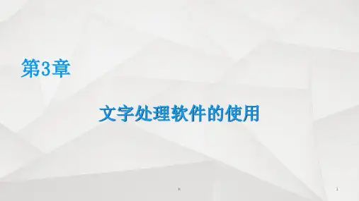 文字处理软件的使用