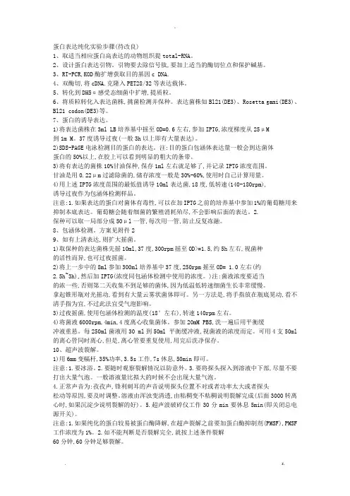 蛋白表达纯化实验步骤