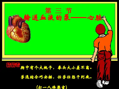 生物：4.4《心脏》课件(人教版七年级下)