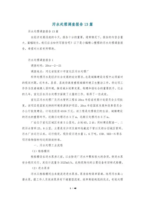 污水处理调查报告13篇