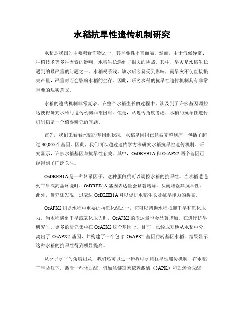 水稻抗旱性遗传机制研究