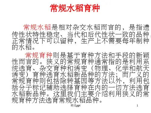 《水稻常规育种》PPT课件