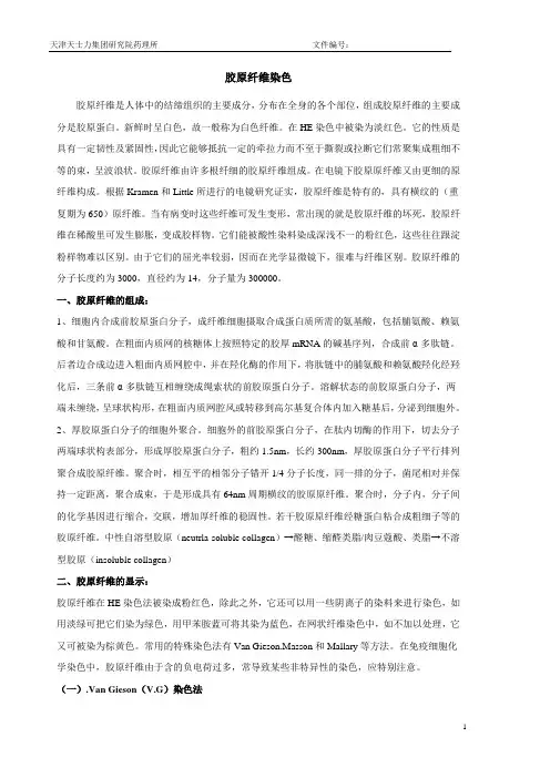 胶原纤维染色