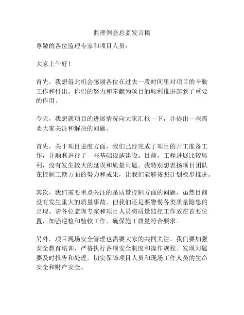 监理例会总监发言稿