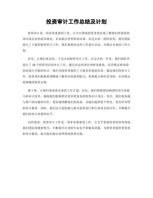 投资审计工作总结及计划