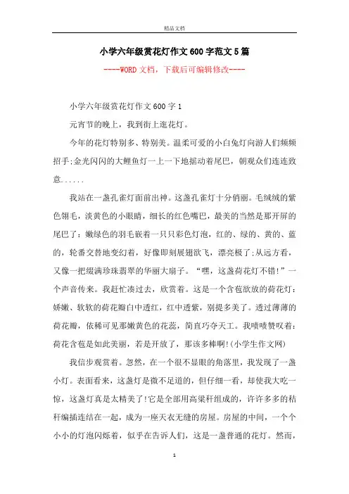 小学六年级赏花灯作文600字范文5篇