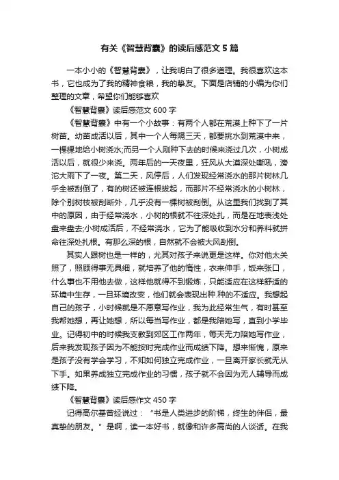 有关《智慧背囊》的读后感范文5篇