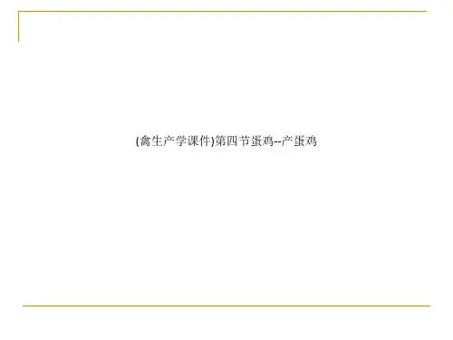 (禽生产学课件)第四节蛋鸡--产蛋鸡