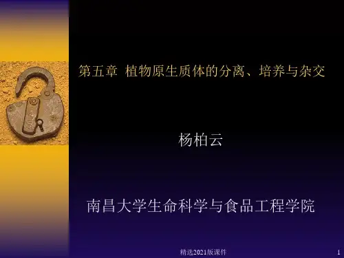 第五章 植物原生质体的分离与培养