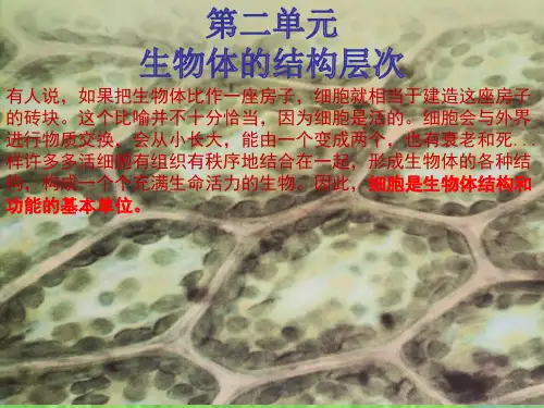 2.1.1 练习使用显微镜 课件 人教版七年级上册生物(共25张PPT)