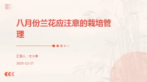 八月份兰花应注意的栽培管理