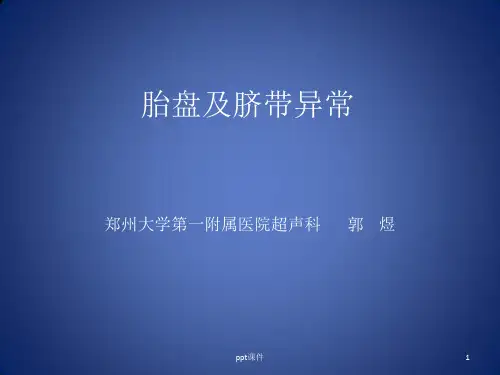 胎盘与脐带异常  ppt课件