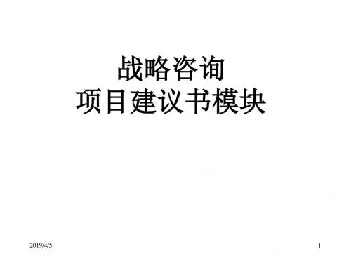 战略咨询项目建议书模块(PPT 97页)