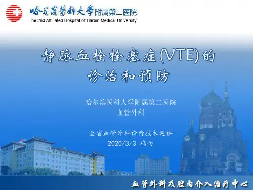 静脉血栓栓塞(VTE)诊断、治疗和预防