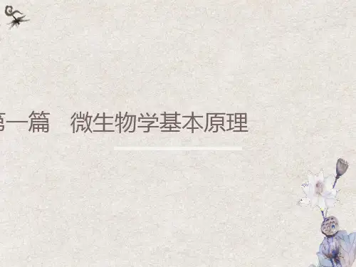 医学微生物学第一章