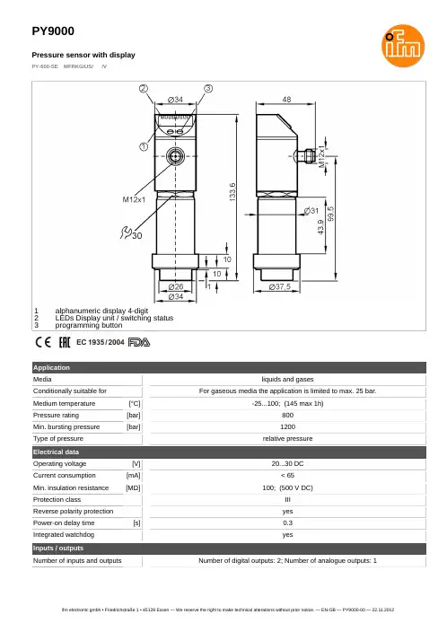 ifm电子 PY-600-SE 压力传感器说明书