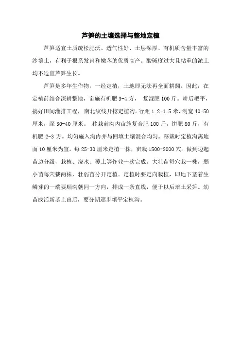 芦笋的土壤选择与整地定植
