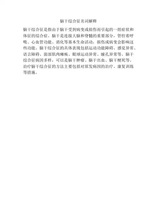 脑干综合征名词解释