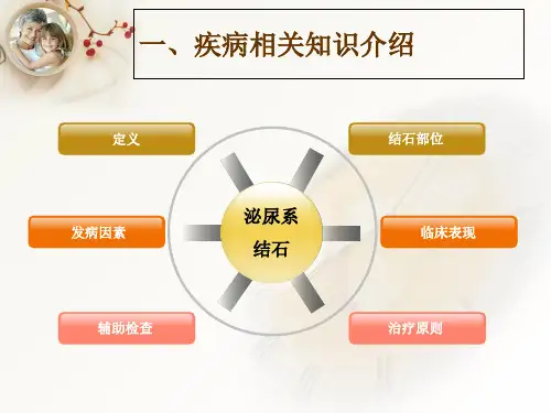 泌尿系结石护理_PPT课件