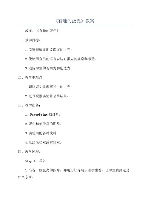 《有趣的蛋壳》教案