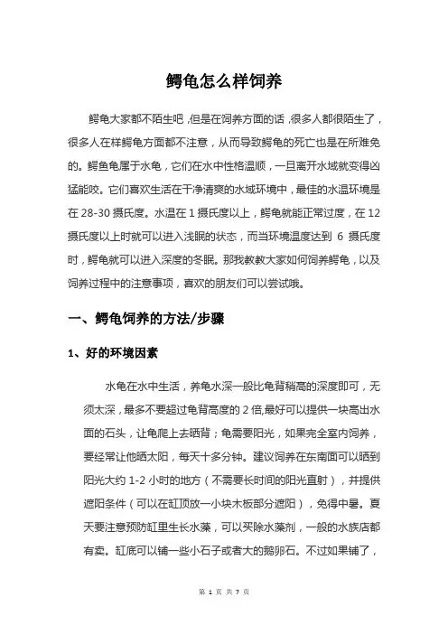 鳄龟怎么样饲养——新手饲养宝典