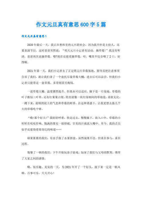 作文元旦真有意思600字5篇