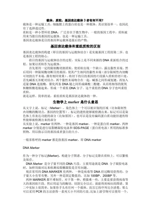基因表达载体和重组质粒的区别