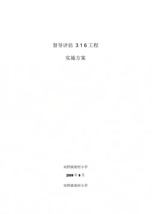 316工程实施方案