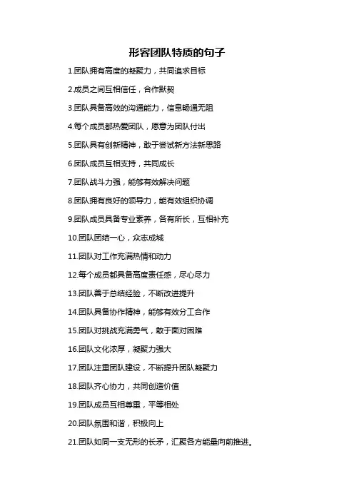 形容团队特质的句子-概述说明以及解释