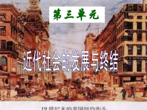 北师大版九年级上19课缔约结盟的狂潮课件