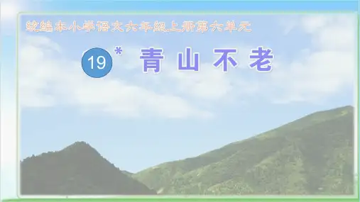 六年级上册语文课件 - 青山不老  人教部编版(共13张PPT)