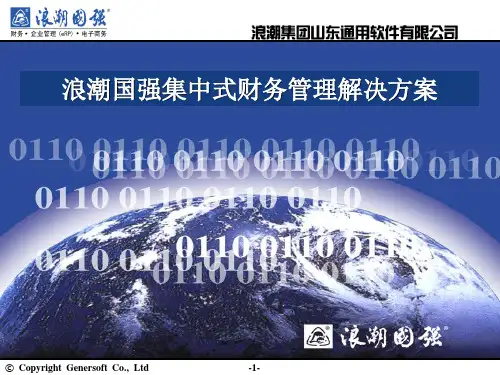 浪潮国强集中式财务管理精品PPT课件