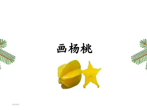 画杨桃经典版PPT课件