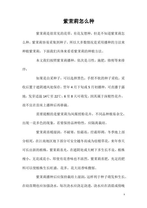 紫茉莉怎么种