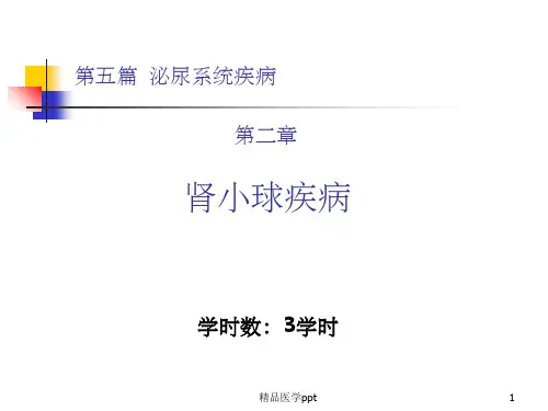 内科学泌尿系统肾小球疾病概述