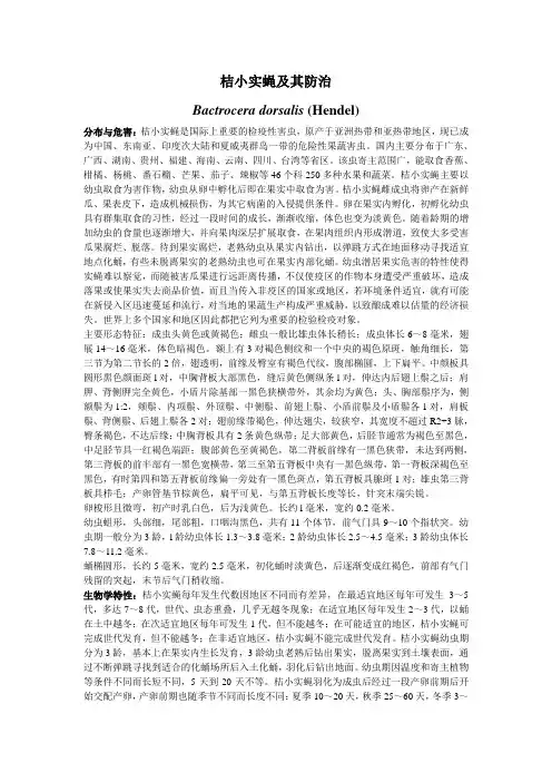 08桔小实蝇及其防治