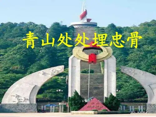《青山处处埋忠骨》免费课件PPT