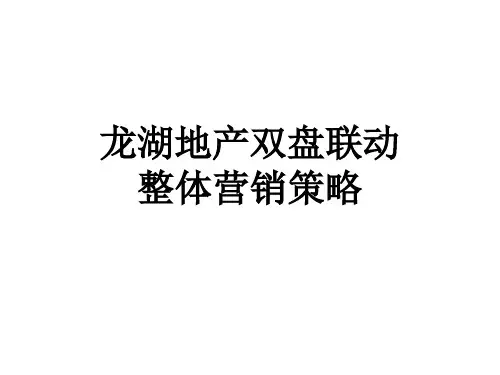 龙湖地产双盘联动整体营销策略