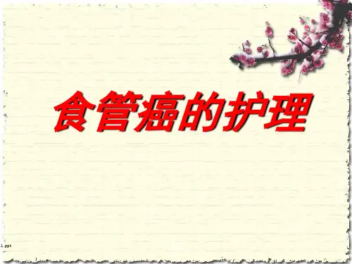 食管癌的护理 ppt课件