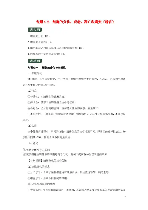 高考生物一轮复习 专题4.2 细胞的分化、衰老、凋亡和癌变(讲)(含解析)