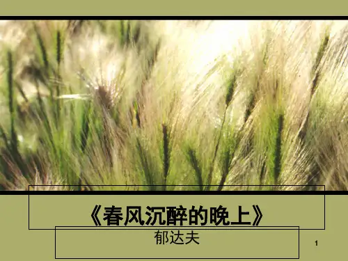 春风沉醉的晚上PPT精选文档