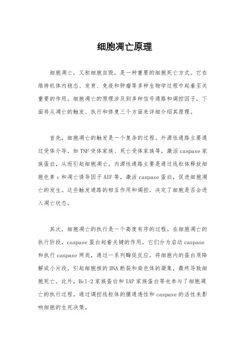 细胞凋亡原理