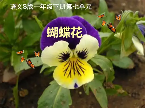 一年级下册《蝴蝶花》(语文s版)