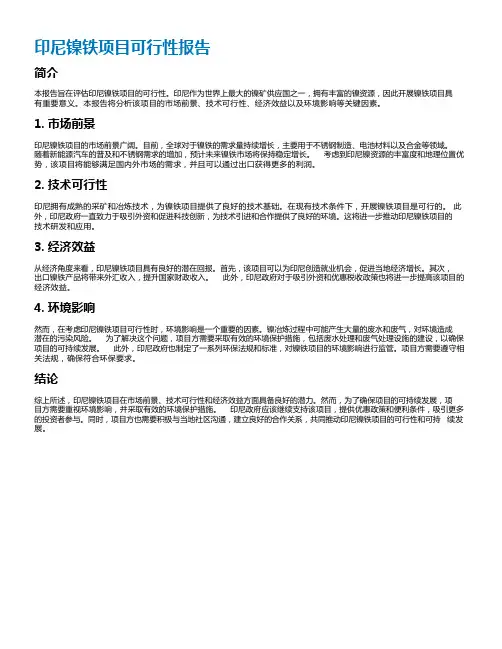 印尼镍铁项目可行性报告