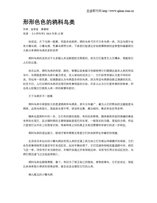 形形色色的鸦科鸟类
