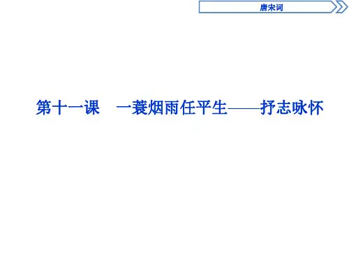 2019-2020学年语文版高中语文选修选修唐宋诗词鉴赏课件：唐宋词 5 第十一课 一蓑烟雨任平生—