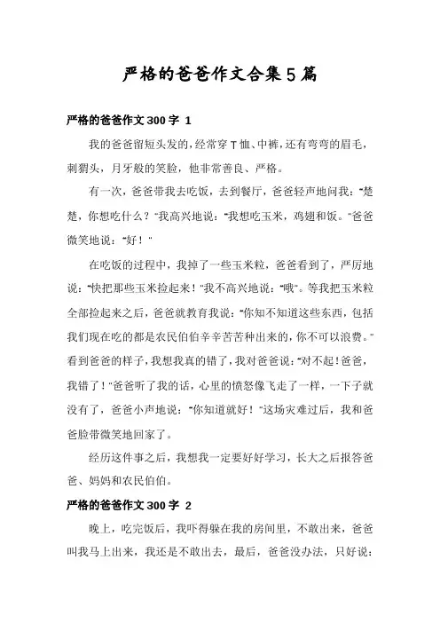严格的爸爸作文合集5篇